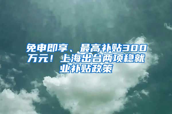 免申即享、最高补贴300万元！上海出台两项稳就业补贴政策