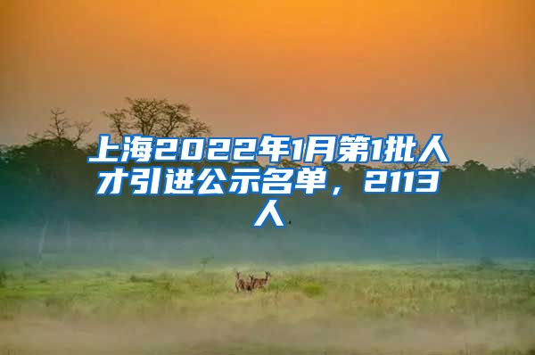 上海2022年1月第1批人才引进公示名单，2113人