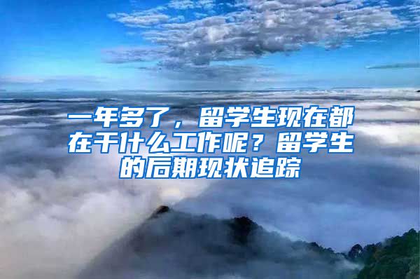 一年多了，留学生现在都在干什么工作呢？留学生的后期现状追踪