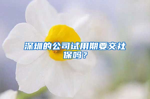 深圳的公司试用期要交社保吗？