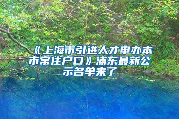 《上海市引进人才申办本市常住户口》浦东最新公示名单来了