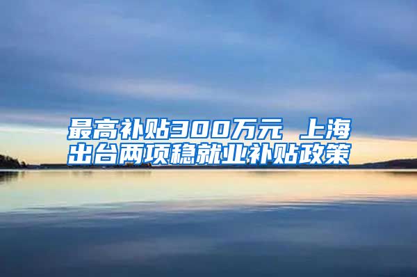 最高补贴300万元 上海出台两项稳就业补贴政策