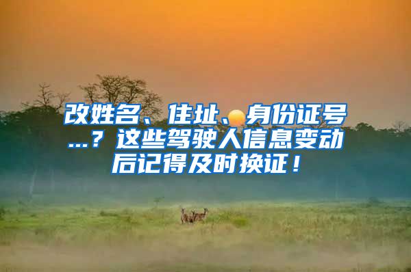 改姓名、住址、身份证号...？这些驾驶人信息变动后记得及时换证！