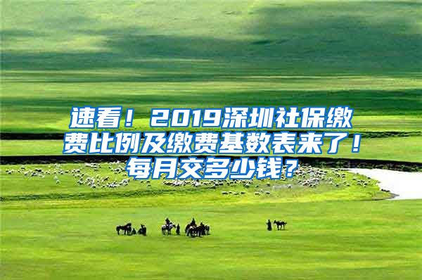 速看！2019深圳社保缴费比例及缴费基数表来了！每月交多少钱？