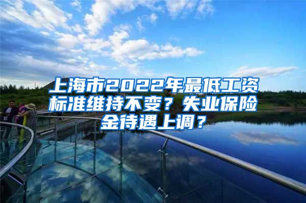 上海市2022年最低工资标准维持不变？失业保险金待遇上调？