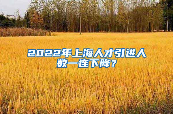 2022年上海人才引进人数一连下降？