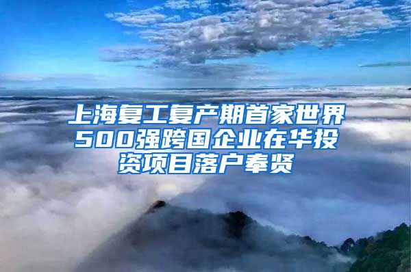 上海复工复产期首家世界500强跨国企业在华投资项目落户奉贤