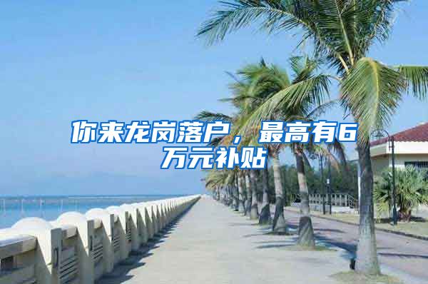 你来龙岗落户，最高有6万元补贴