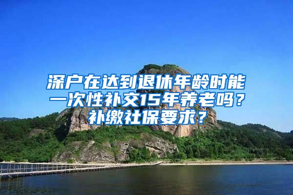 深户在达到退休年龄时能一次性补交15年养老吗？补缴社保要求？