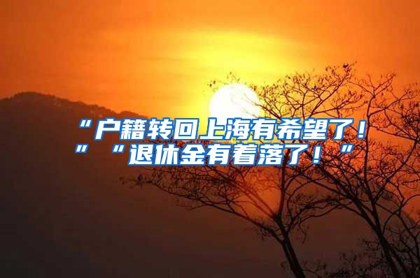 “户籍转回上海有希望了！”“退休金有着落了！”