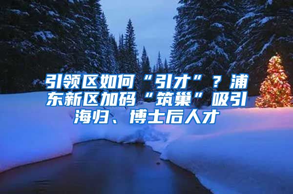 引领区如何“引才”？浦东新区加码“筑巢”吸引海归、博士后人才