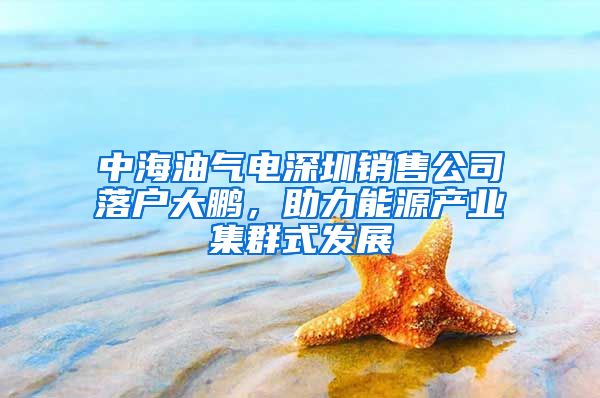 中海油气电深圳销售公司落户大鹏，助力能源产业集群式发展