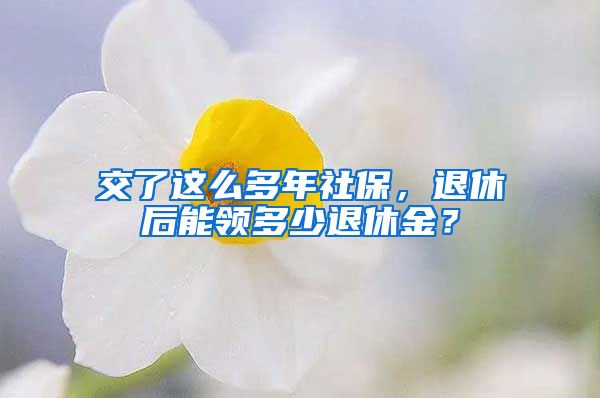 交了这么多年社保，退休后能领多少退休金？