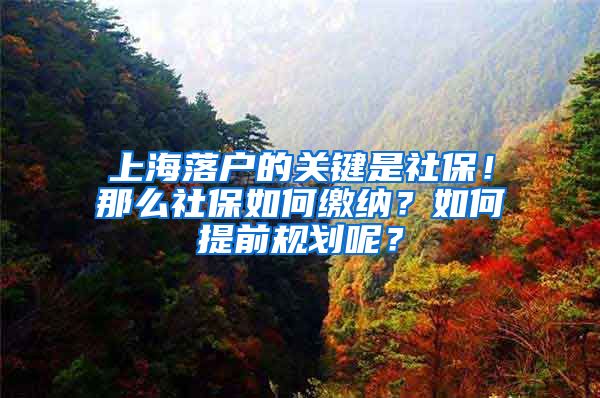 上海落户的关键是社保！那么社保如何缴纳？如何提前规划呢？