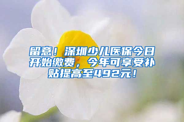 留意！深圳少儿医保今日开始缴费，今年可享受补贴提高至492元！