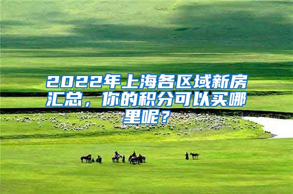 2022年上海各区域新房汇总，你的积分可以买哪里呢？