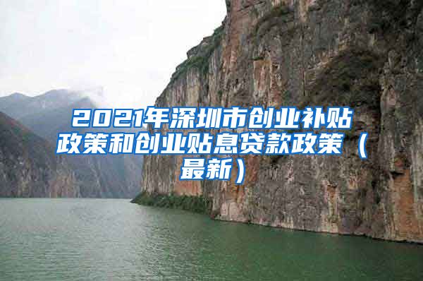 2021年深圳市创业补贴政策和创业贴息贷款政策（最新）