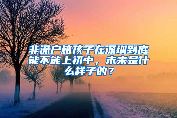 非深户籍孩子在深圳到底能不能上初中，未来是什么样子的？