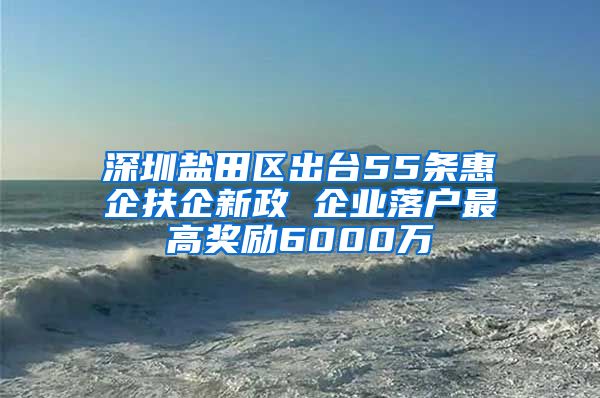 深圳盐田区出台55条惠企扶企新政 企业落户最高奖励6000万