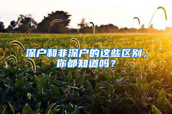 深户和非深户的这些区别，你都知道吗？