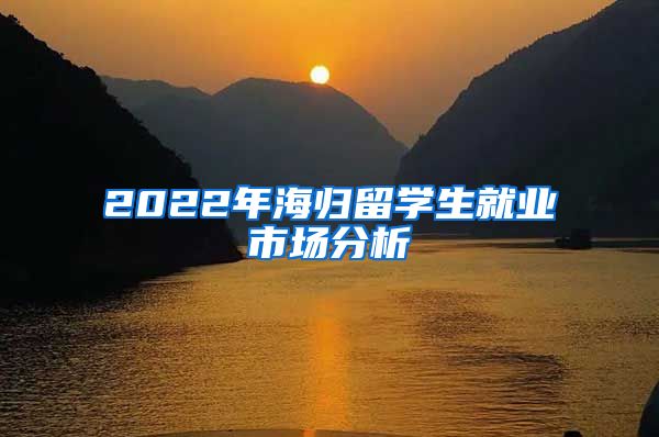 2022年海归留学生就业市场分析