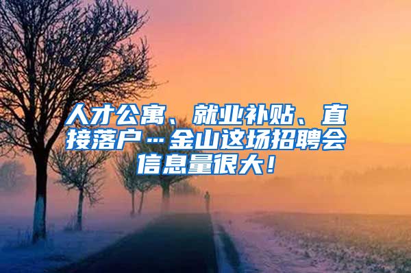 人才公寓、就业补贴、直接落户…金山这场招聘会信息量很大！