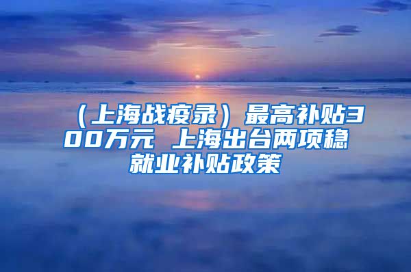 （上海战疫录）最高补贴300万元 上海出台两项稳就业补贴政策