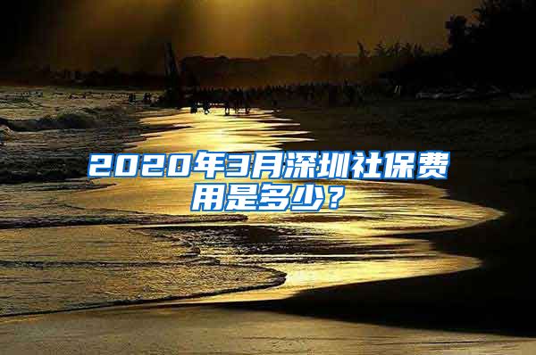 2020年3月深圳社保费用是多少？