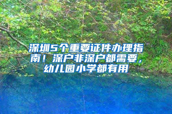 深圳5个重要证件办理指南！深户非深户都需要，幼儿园小学都有用