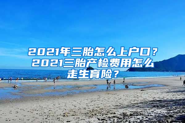 2021年三胎怎么上户口？2021三胎产检费用怎么走生育险？