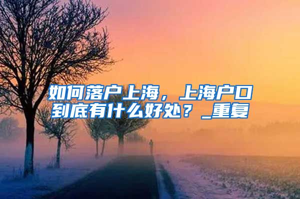 如何落户上海，上海户口到底有什么好处？_重复