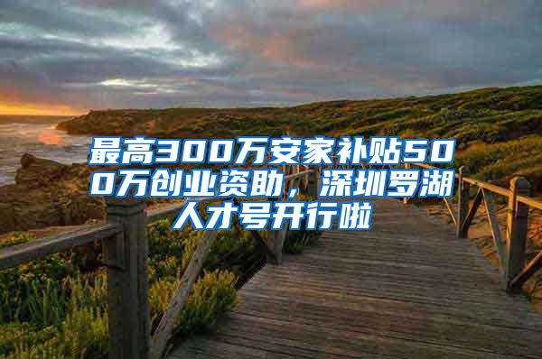 最高300万安家补贴500万创业资助，深圳罗湖人才号开行啦