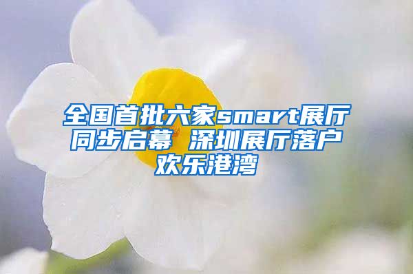 全国首批六家smart展厅同步启幕 深圳展厅落户欢乐港湾