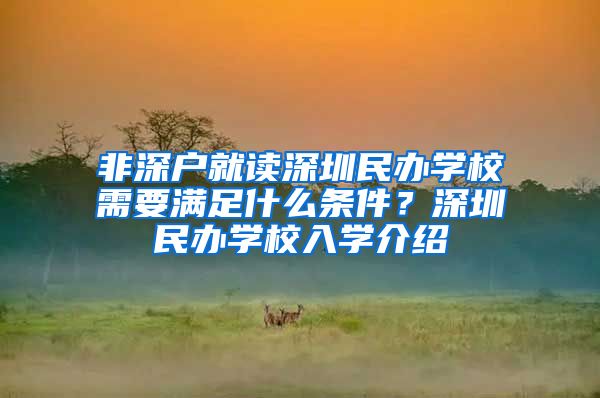 非深户就读深圳民办学校需要满足什么条件？深圳民办学校入学介绍