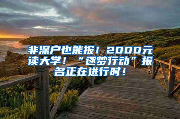 非深户也能报！2000元读大学！“逐梦行动”报名正在进行时！