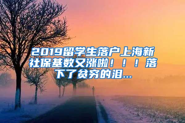 2019留学生落户上海新社保基数又涨啦！！！落下了贫穷的泪...