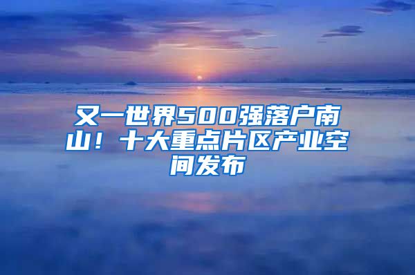 又一世界500强落户南山！十大重点片区产业空间发布